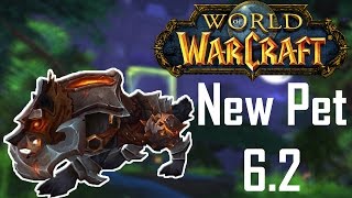 WoW  How to get a Iron Warwolf  Hunter Pet Guide [upl. by Ahsinor]