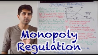 Y2 28 Competition Policy  Monopoly Regulation [upl. by Angadreme]