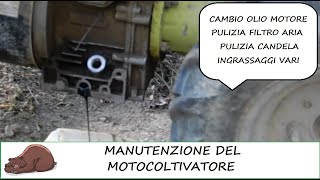 Manutenzione del motocoltivatore [upl. by Mlohsihc]