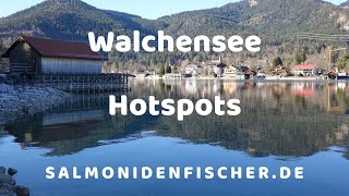 Walchensee  Seeforellen Hotspots  Angeln  Fischen  Fishing  Salmoniden [upl. by Annodas69]