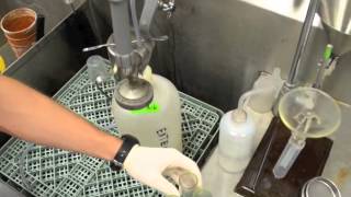 Extraction of Nematodes from Soil [upl. by Tymon]