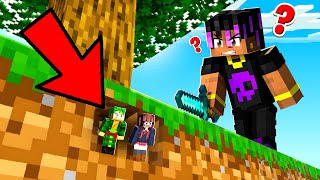 Using TINY MOD To Prank My Friend In Minecraft [upl. by Karalynn977]