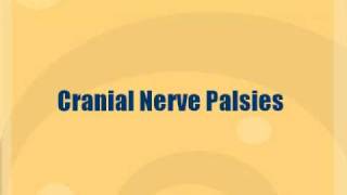 Neuro  Cranial Nerve 3 Palsy [upl. by Ylyl]