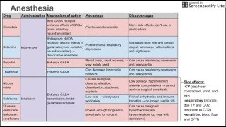 Anesthetics [upl. by Atirat79]