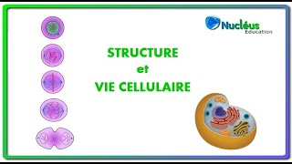 La structure et la vie cellulaire [upl. by Shivers]