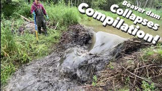 Beaver dam COLLAPSES COMPILATION [upl. by Llireva]