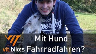 Hund und Fahrrad ist doch ganz einfach  vitbikesTV [upl. by Dunham]