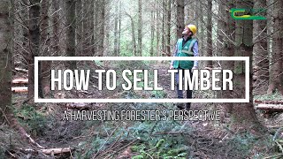 How to sell timber  a harvesting foresters perspective [upl. by Godfry731]