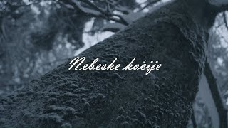 Novi fosili  Nebeske kočije Official lyric video [upl. by Livy]