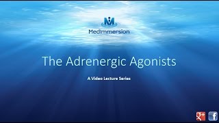 The Adrenergic Agonists [upl. by Nairrod]