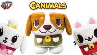 Canimals Ato Plush Talking Toy Review Vivid [upl. by Assilam]