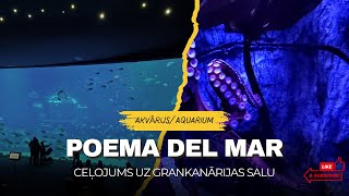 Akvārijs Poema del Mar Grankanārija [upl. by Finer593]