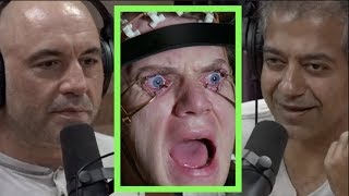 Joe Rogan  Modern Struggle is Fighting Media Addiction wNaval Ravikat [upl. by Ellenar]