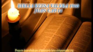 Biblia HabladaBIBLIA REINA VALERA 1960 JUAN CAP 14 [upl. by Cheffetz432]