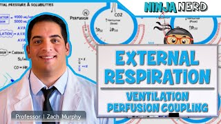 Respiratory  External Respiration Ventilation Perfusion Coupling [upl. by Juta]