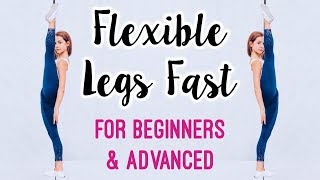 Get Flexible Legs Stretches for Leg amp Hip Flexibility [upl. by Antoni248]