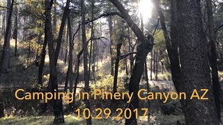 Camping in Pinery Canyon Arizona [upl. by Neila368]