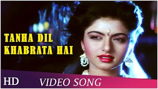 Tanha Dil Ghabrata Hai  Tyagi 1992  Bhagyashree  Himalaya  Bappi Lahiri Hits  Hindi Songs [upl. by Ecirtram312]