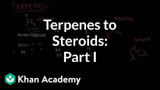 From terpenes to steroids part 1 Terpenes  Endocrine system physiology  NCLEXRN  Khan Academy [upl. by Schalles371]