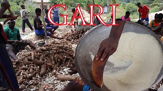 Process to how Gari is made in Ghana  How to prepare Gari originally in step  Cassava recipe [upl. by Arick]