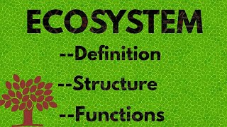 ECOSYSTEM  Definition  Structure And Functions [upl. by Collins702]