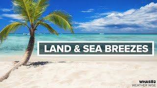 Land and sea breezes  Weather Wise Lessons [upl. by Christiansen]