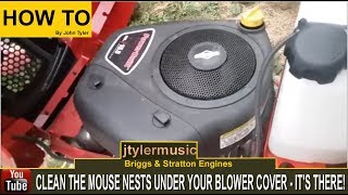 Briggs amp Stratton Maintenance  BLOWER COVER REMOVAL  VIDEO [upl. by Peonir]