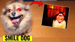 MY DOG TURNED INTO SMILE DOG  Facetiming Smile Dog at 3 AM Gone Wrong [upl. by Durand]