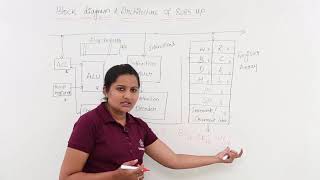 Block Diagram amp Architecture Of 8085 Microprocessor [upl. by Schiro549]