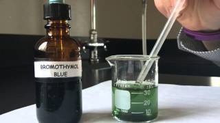 Bromothymol Blue Respiratory Physiology Experiment [upl. by Sisco206]