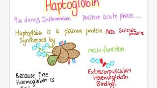 Haptoglobin  Veterinary medicine [upl. by Jessalyn]