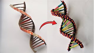 Cardboard DNA Model Project [upl. by Brink]