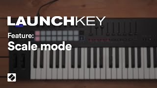 Launchkey MK3  Scale Mode  Novation [upl. by Annecorinne]