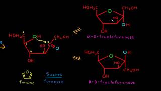 Cyclisation des monosaccharides sucres [upl. by Starkey408]