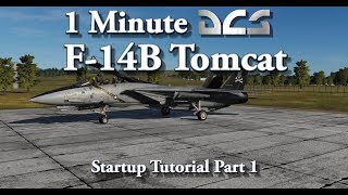 1 Minute DCS  F14B Tomcat  Startup Tutorial Part 1 [upl. by Starobin]