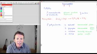 71 Koolhydraten  scheikunde  Scheikundelessennl [upl. by Ianahs]