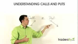 Understanding Calls and Puts [upl. by Atiluap853]