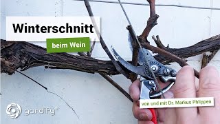 Winterschnitt beim Wein  Weinreben richtig schneiden  gardify Tipps [upl. by Salba]