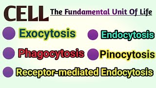 Exocytosis  Endocytosis  Phagocytosis  Pinocytosis  Receptor Mediated Endocytosis REM [upl. by Gall]