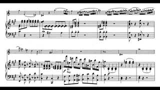 Mozart  Clarinet Concerto 1st Mov piano accompaniment [upl. by Caralie]