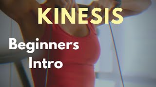 KINESIS Technogym exercises Beginners Intro [upl. by Onurb944]