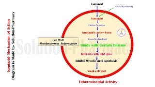 Antitubercular Drug  Mechanism of Action of Isoniazid  Isoniazid  MOA Animation of Isoniazid [upl. by Shimberg]