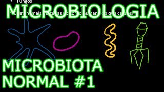 Aula Microbiologia Médica 2  Microbiota Normal 1 [upl. by Nahoj]