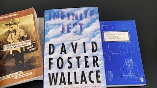 David Foster Wallace [upl. by Ardnahs]