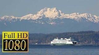 Bremerton Ferry ⛴  Seattle Day Trip [upl. by Yllim]