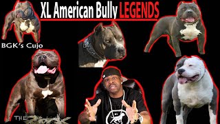 The Top 15 XL AMERICAN BULLY LEGENDS Pitbull Legends [upl. by Baecher]